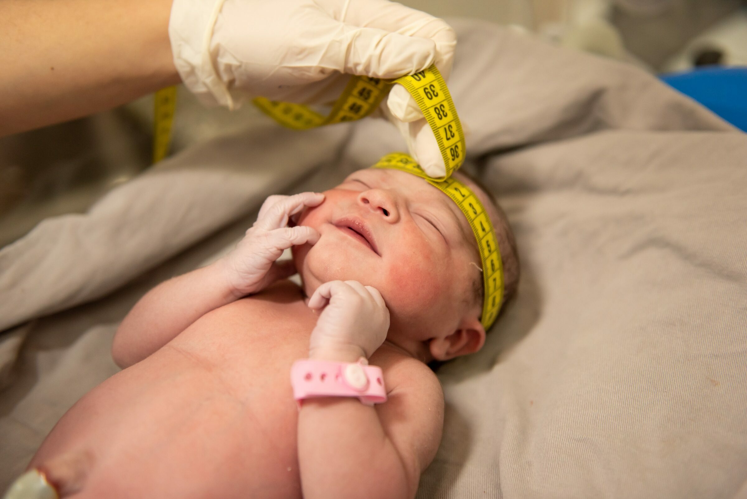 Foto de Laura Brandao 2