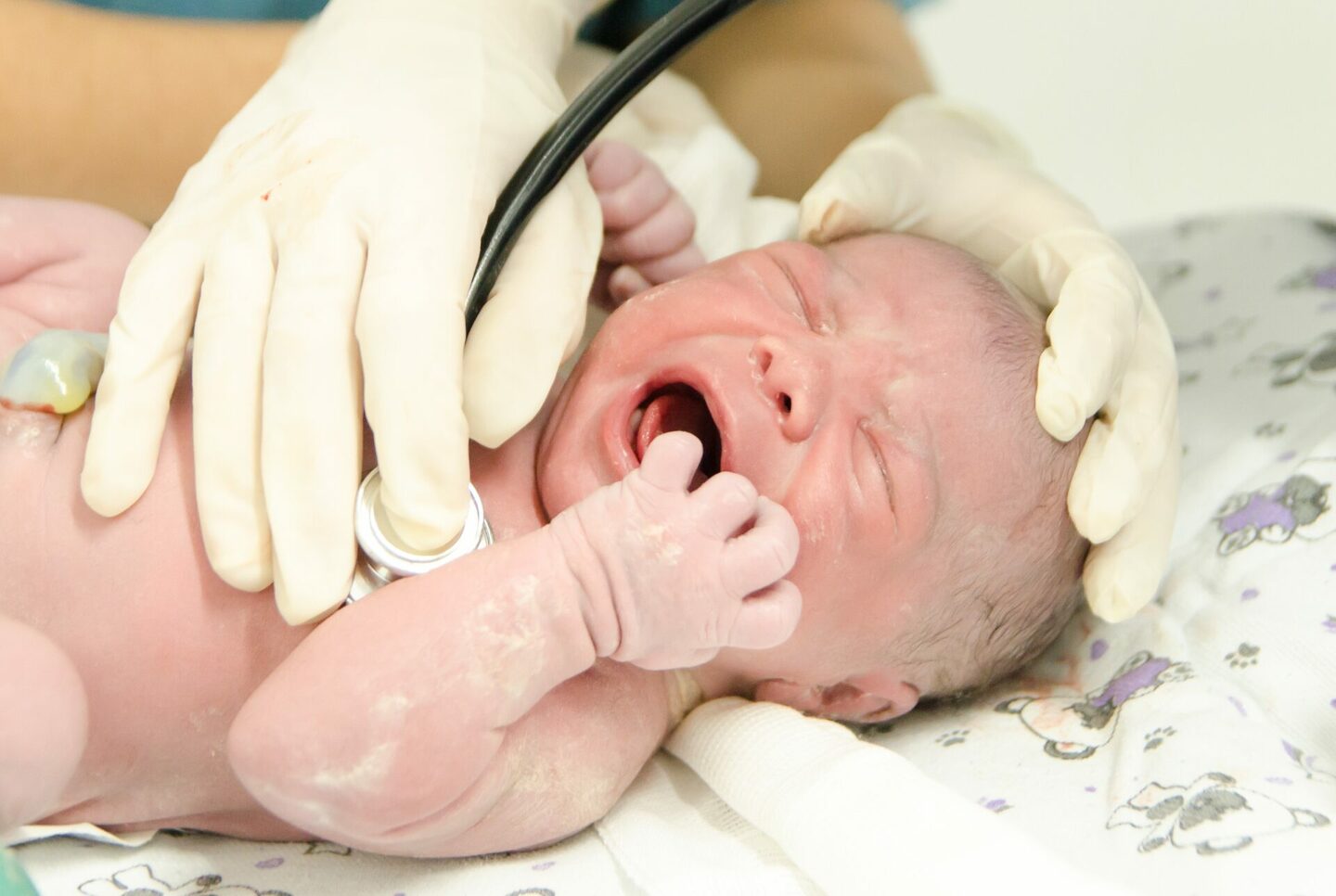 Parto do Israel, realizado no Hospital Santa Lúcia em Divinópolis-MG, com o Fotógrafo Laura Brandão Fotografia Parto do Israel, realizado no Hospital Santa Lúcia em Divinópolis-MG, com o Fotógrafo Laura Brandão Fotografia